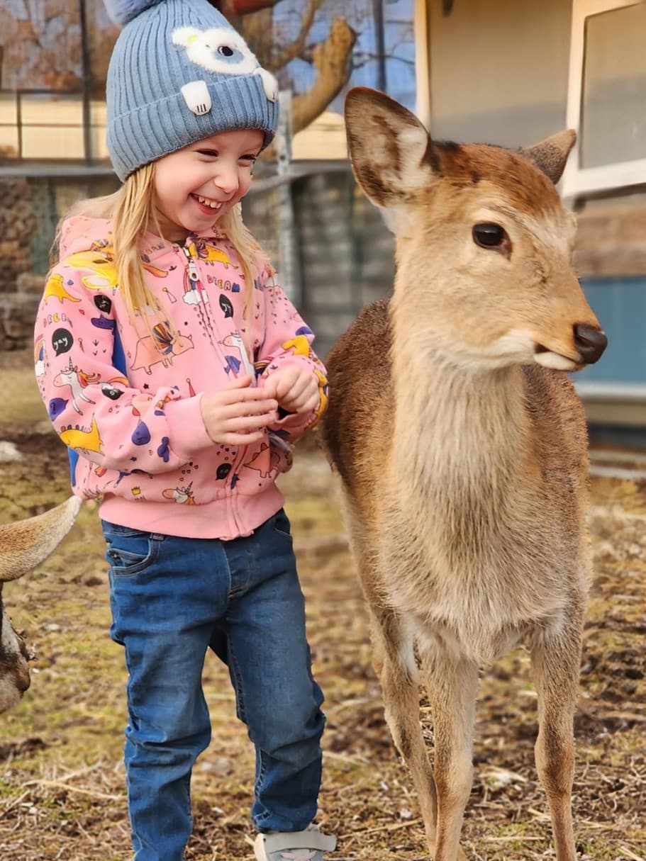 Baby Animal Farmyard Encounter at Wild Animal Safari Strafford