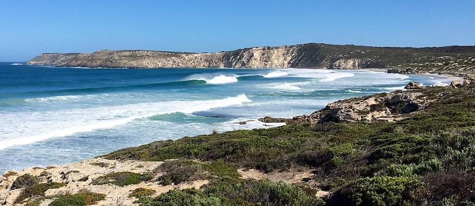 Explore Kangaroo Island’s Wildlife and Wonders: A Coastal Shore Excursion for Cruise Passengers