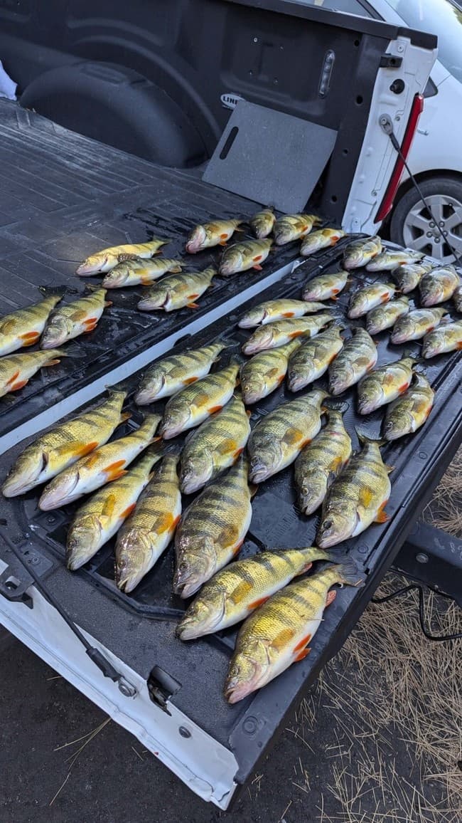 Open Water Perch Fishing on Cascade Lake, Idaho