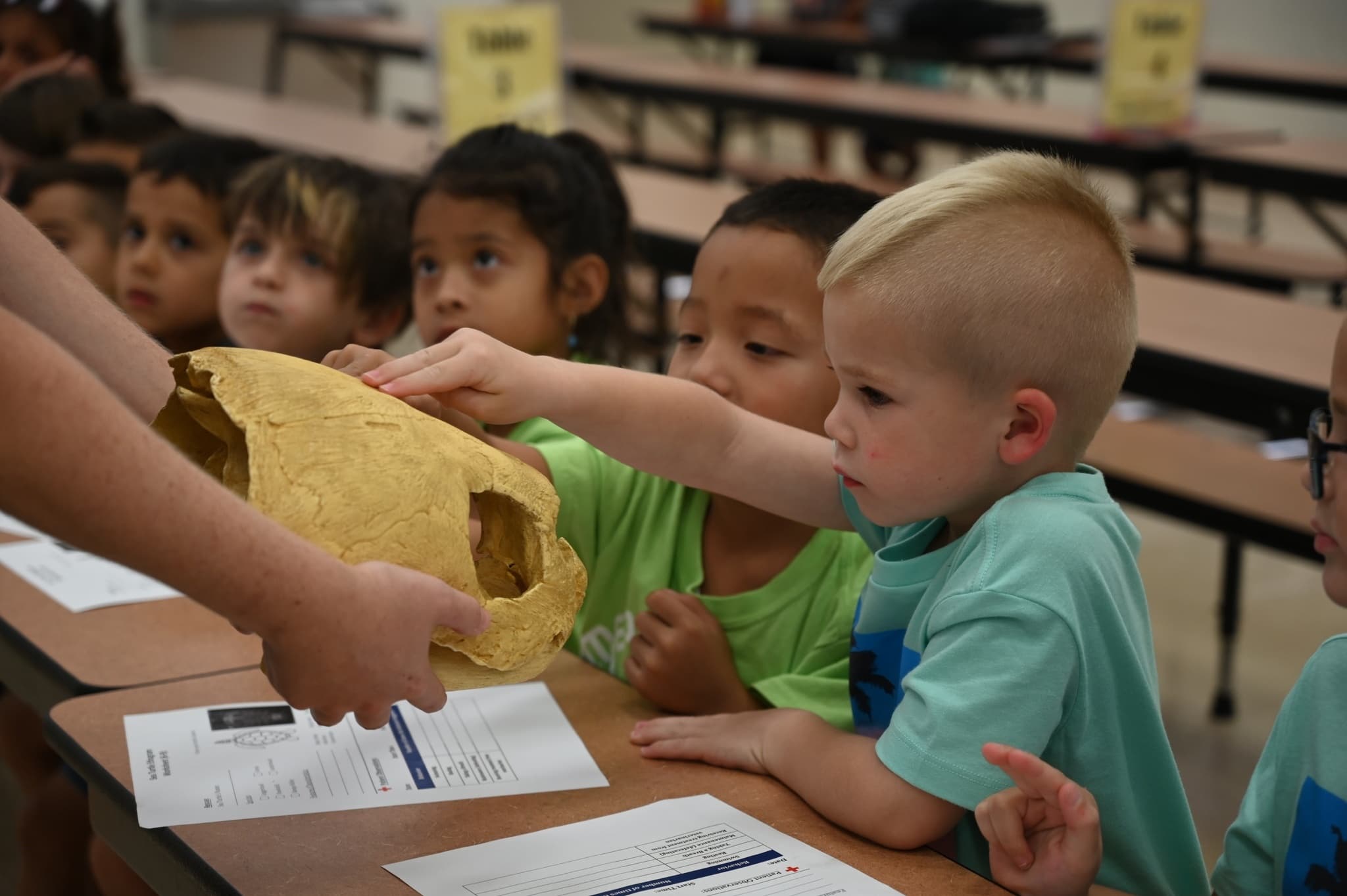 Sea Turtle Science with Loggerhead Marinelife Center