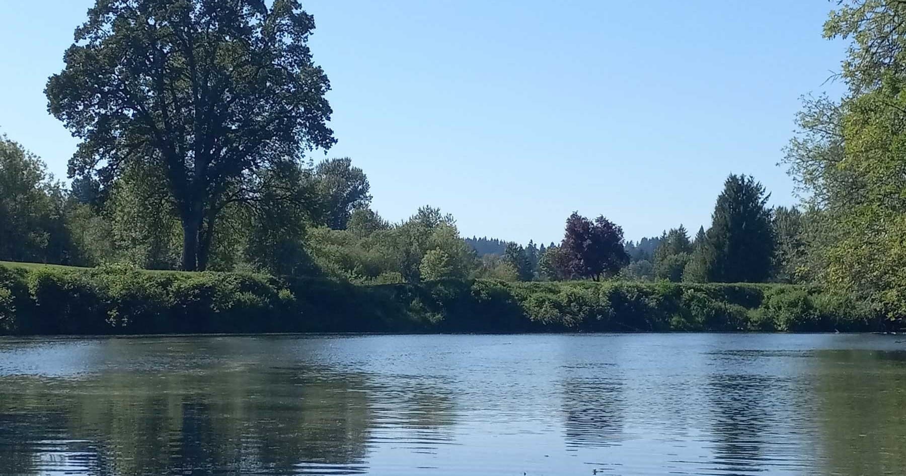 Rood Bridge Park Kayak Rental in Hillsboro, Oregon