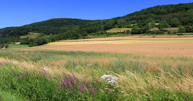 Bavarian Beer Hike Adventure with Beerwanderers in Munich