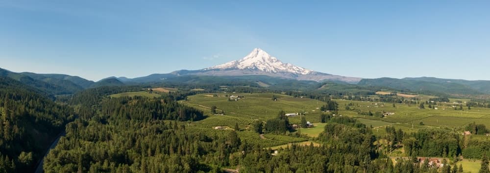 Luxury Shuttle from Hood River to Mt. Hood - Stress-Free Ski Transfers photo 3