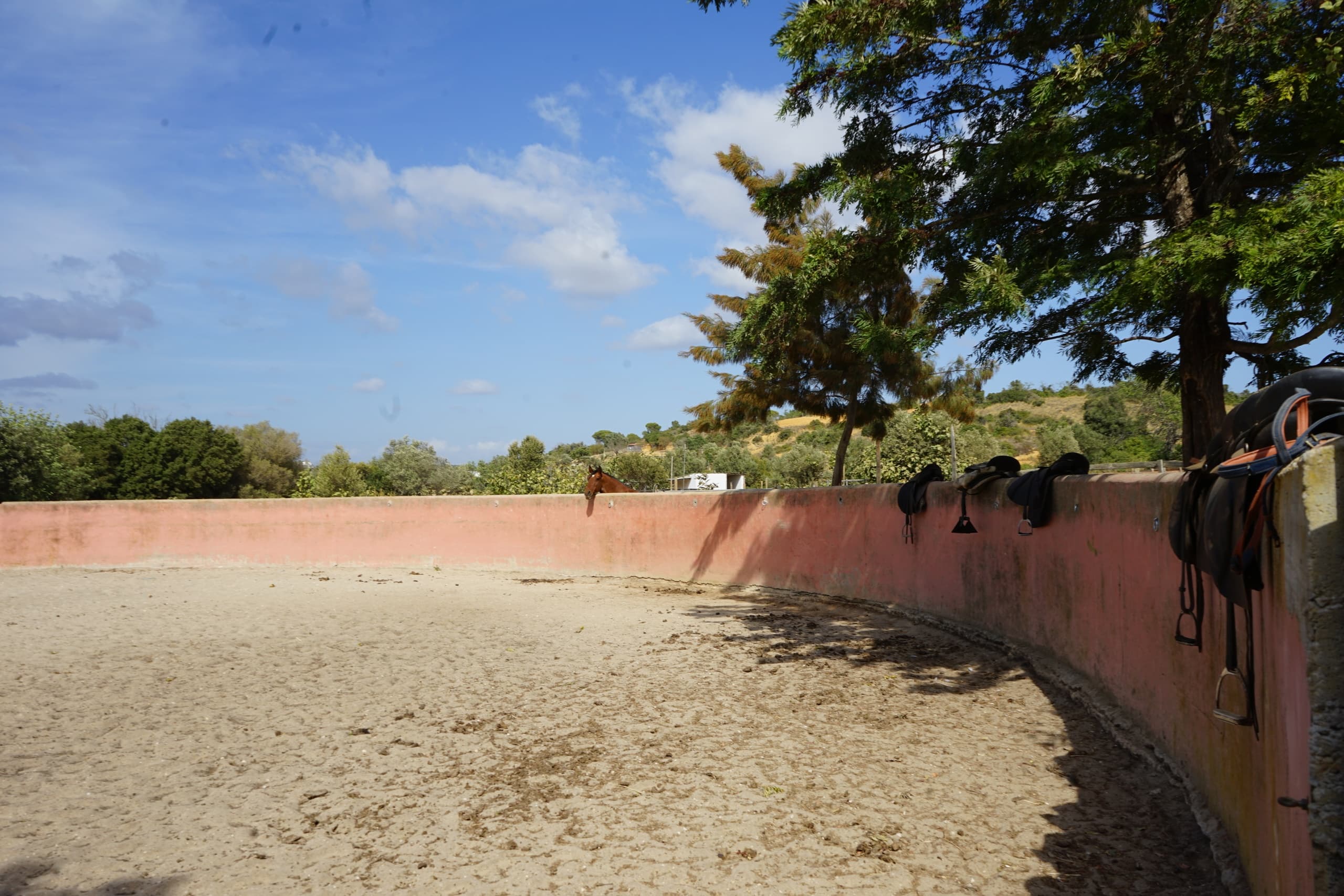 Horseback Through Guia: Beginner-Friendly Ride from Albufeira into Rural Algarve