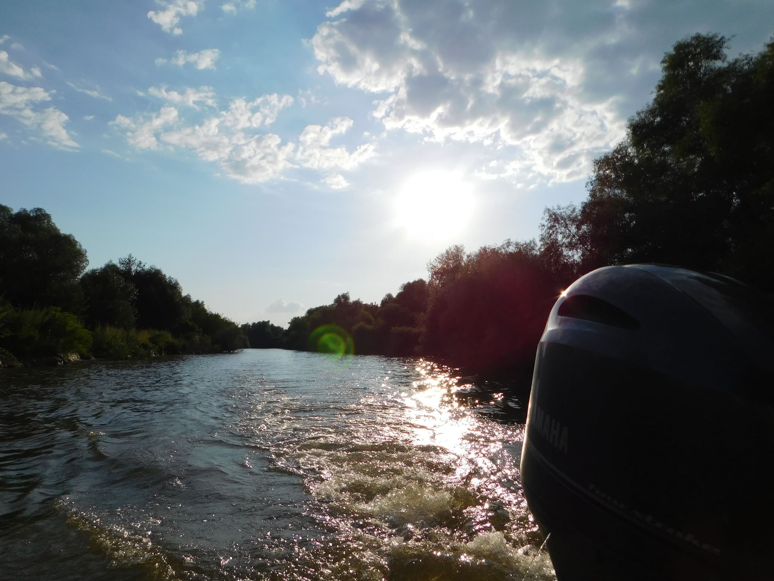 Water Activities & Danube Delta Private Boat Tour with Ondas De Angelo