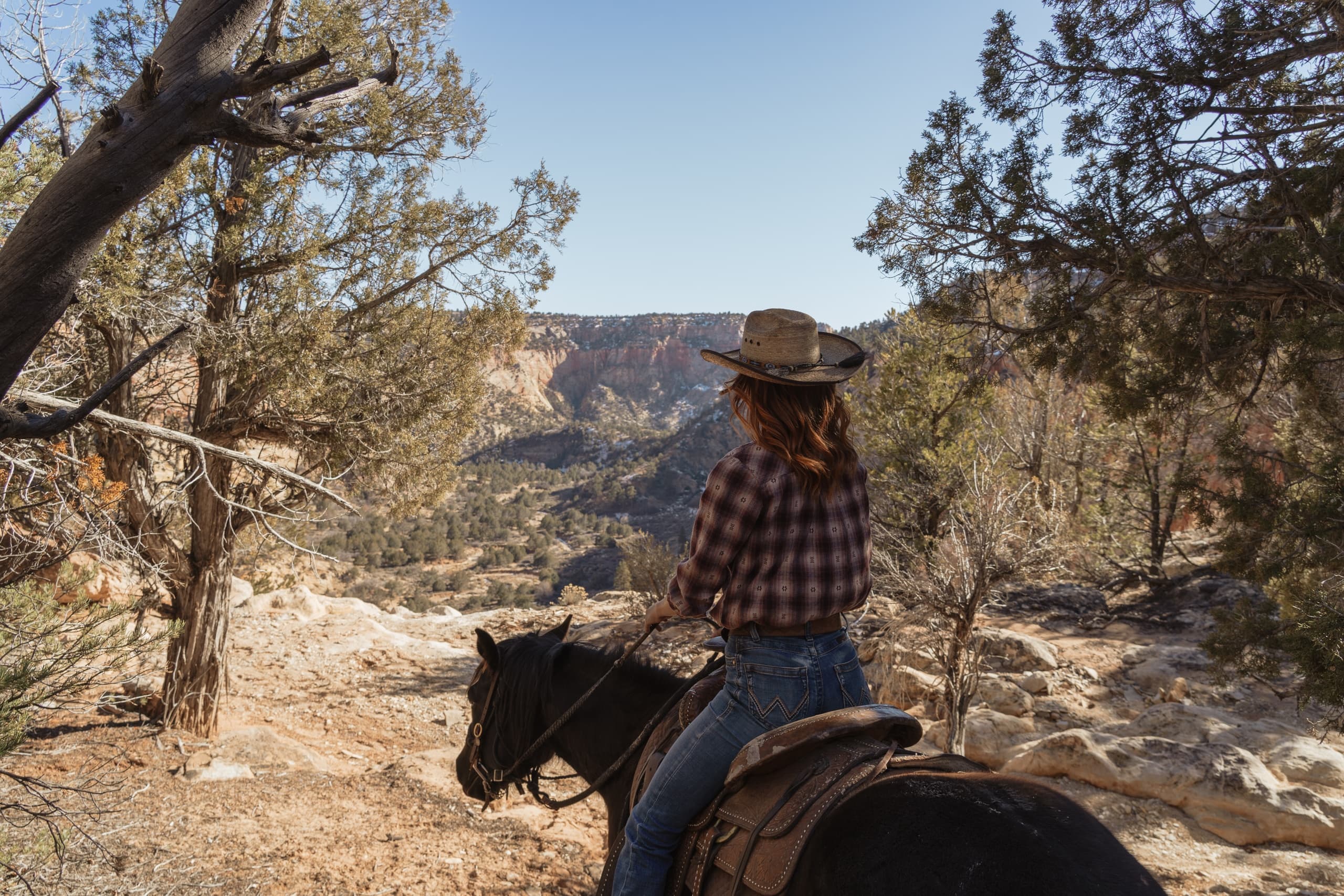 Meadow Creek Canyon Ride at Zion Mountain Trail Rides