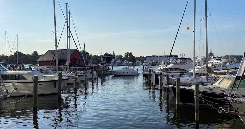 Sailboats docked in marina harbor, calm waters for boating