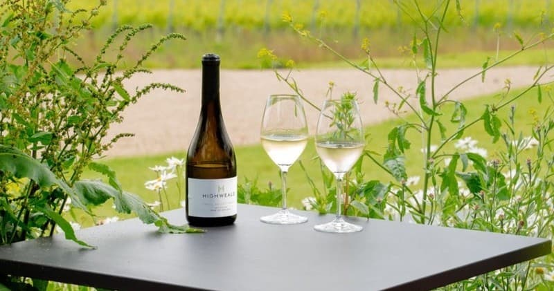Inside High Weald Wine: Sussex Sparkling Tours & Tastings photo 3