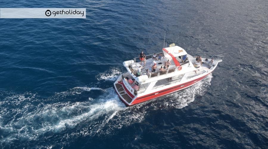 Whale Watching in Los Cristianos with Get Holiday