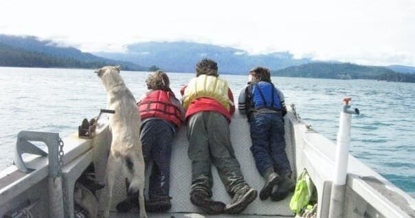 Family and dog leaning over boat observing coastal waters on tour