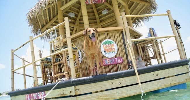 Tiki raft with dog on deck in clear shallow tropical water