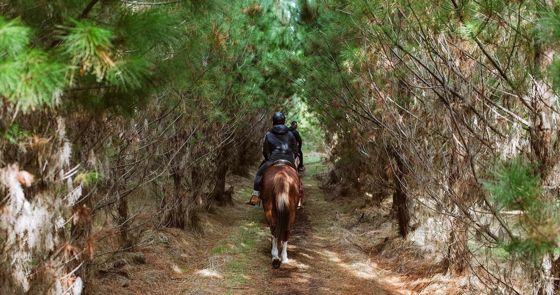 Horseback Ride to Santa’s Hideout with Korohe Treks