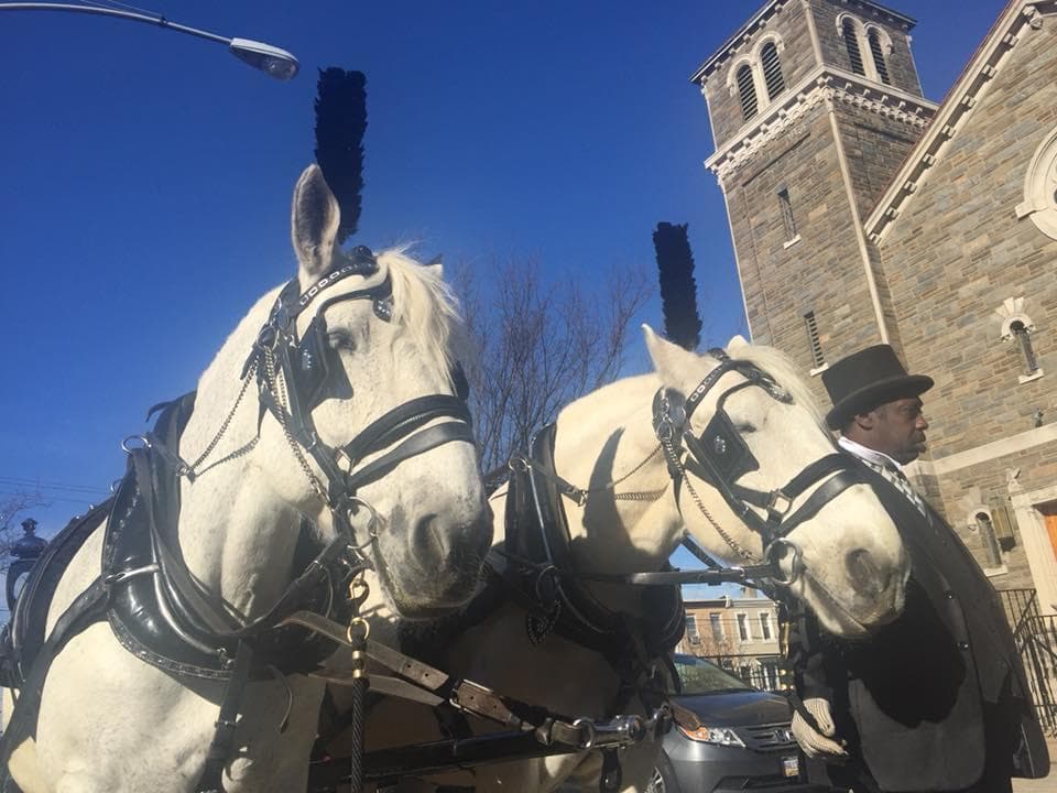 Close-up draft horses harnessed for carriage ride near church