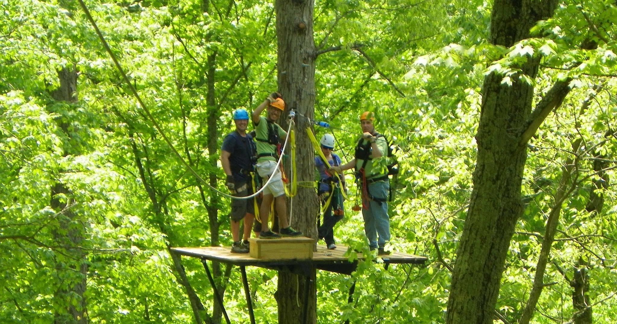 Participants harnessed on elevated wooden platform in forest