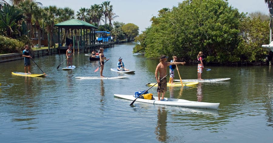 Paddleboarders navigating a scenic mangrove-lined coastal canal