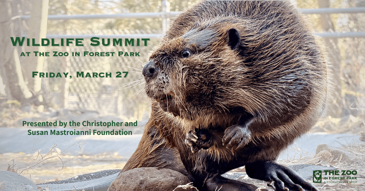 Wildlife Summit at The Zoo in Forest Park: Practical Exchange for Rehabilitators in Springfield photo 1