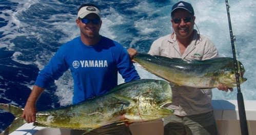 Two anglers holding mahi in offshore Key Largo blue waters