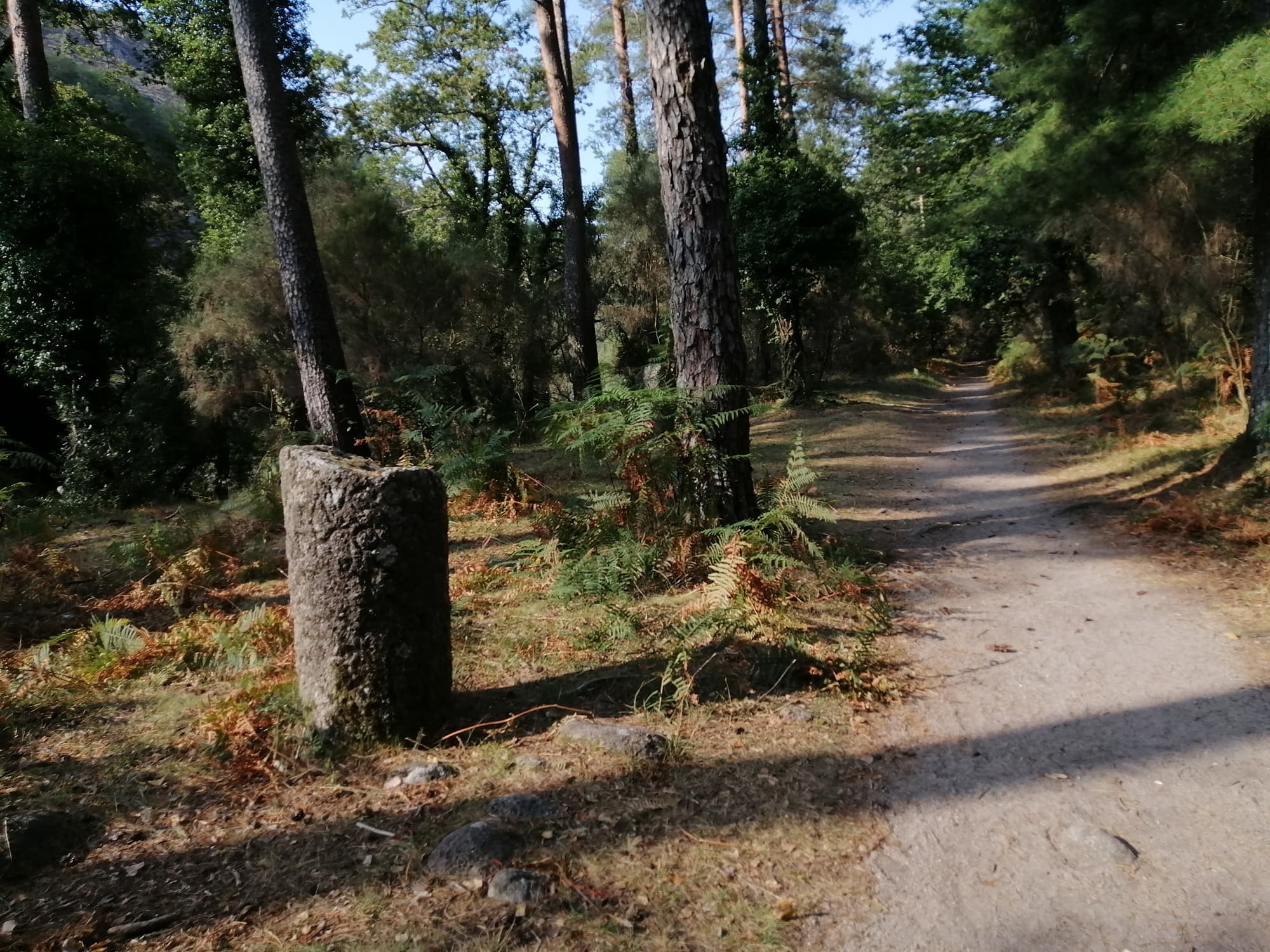 Explore Ancient Ruins and Wild Trails in Albergaria Woods, Gerês National Park