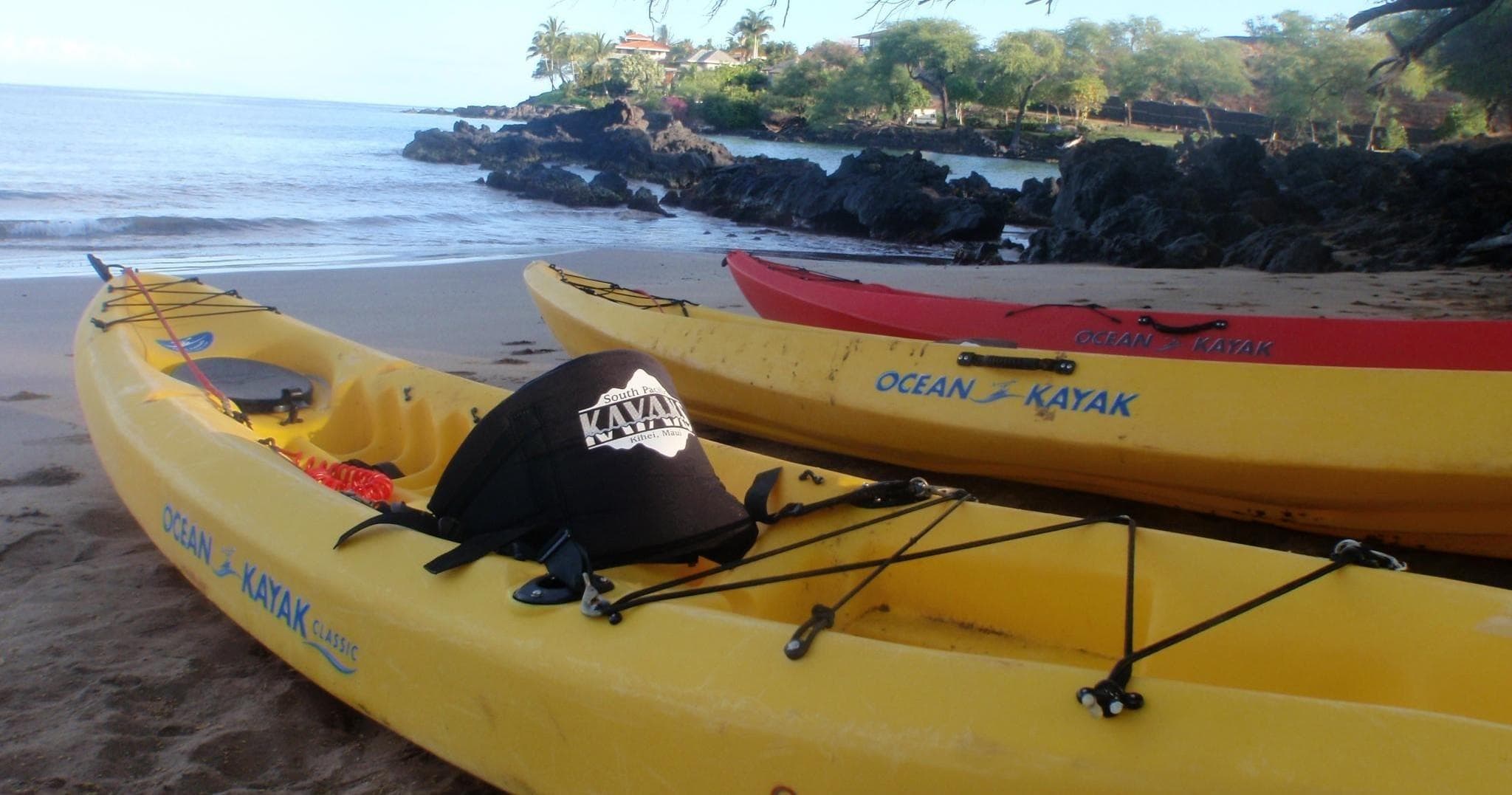 Kayak Makena Landing: Explore Maui’s Marine Wildlife