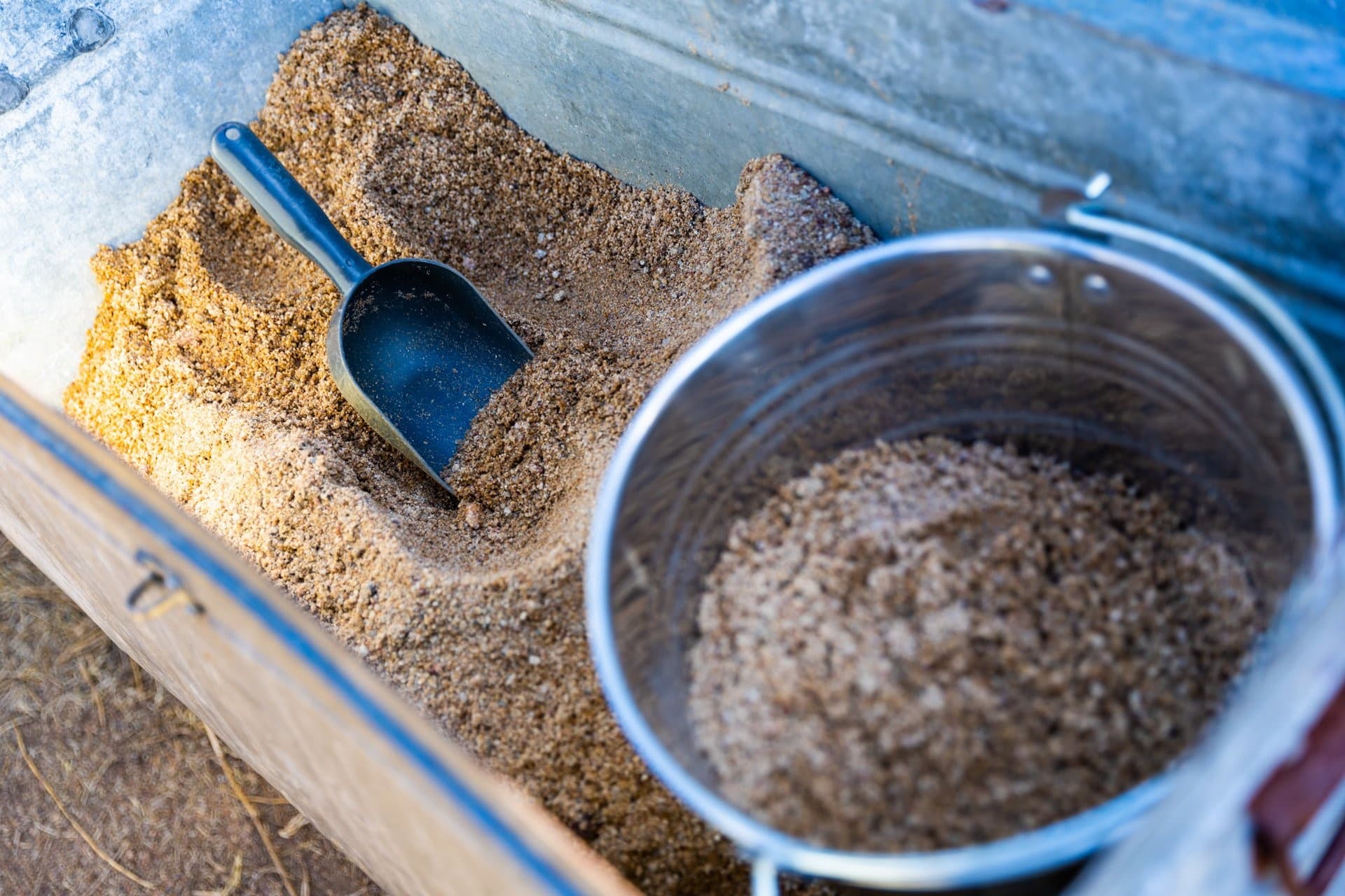 Gold Panning at Venus Gold Battery with Historic Australia
