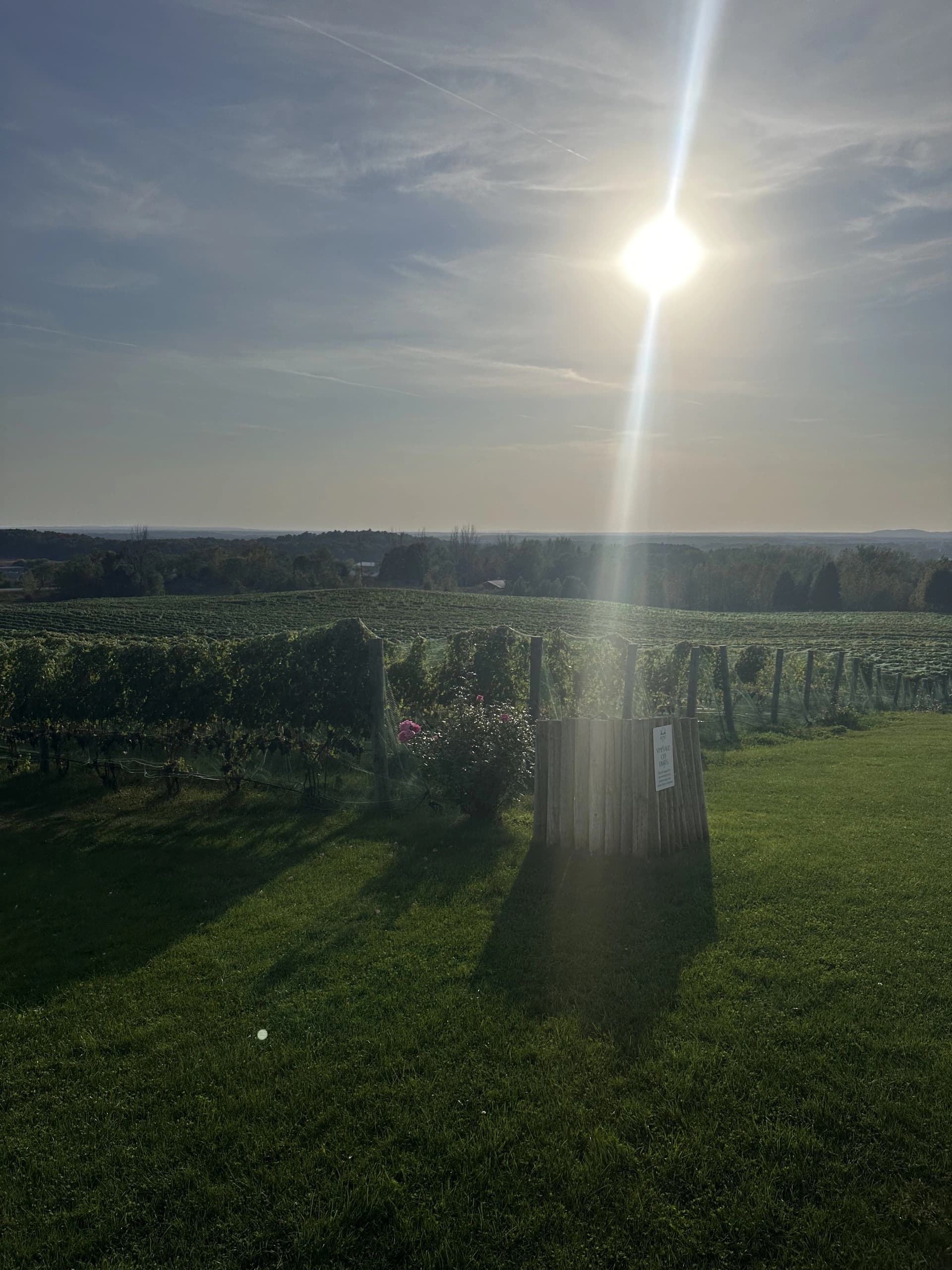 Cheers Premier: Custom 6-Hour Private Tours from Traverse City