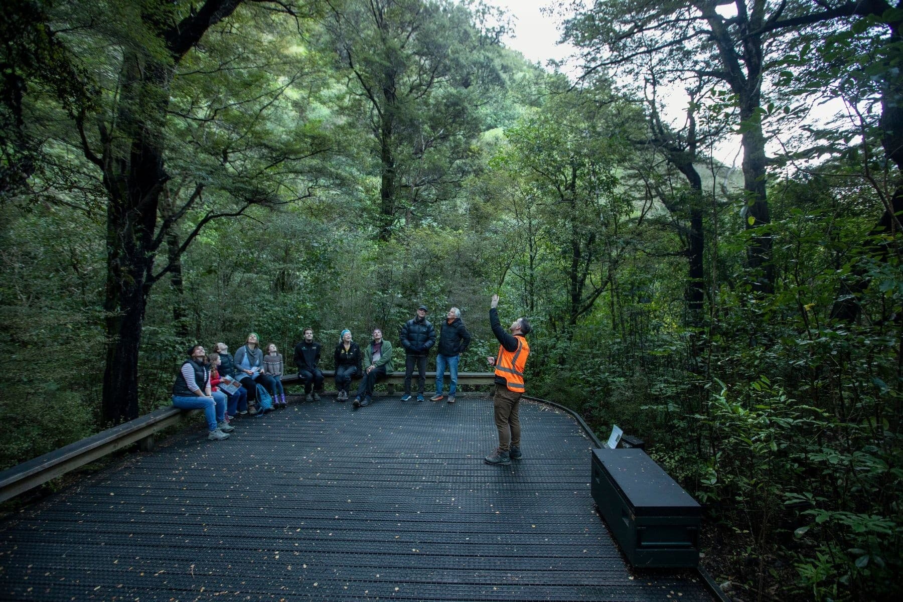 Junior Rangers at Brook Waimārama Sanctuary: Kids Conservation Adventures in Nelson photo 3