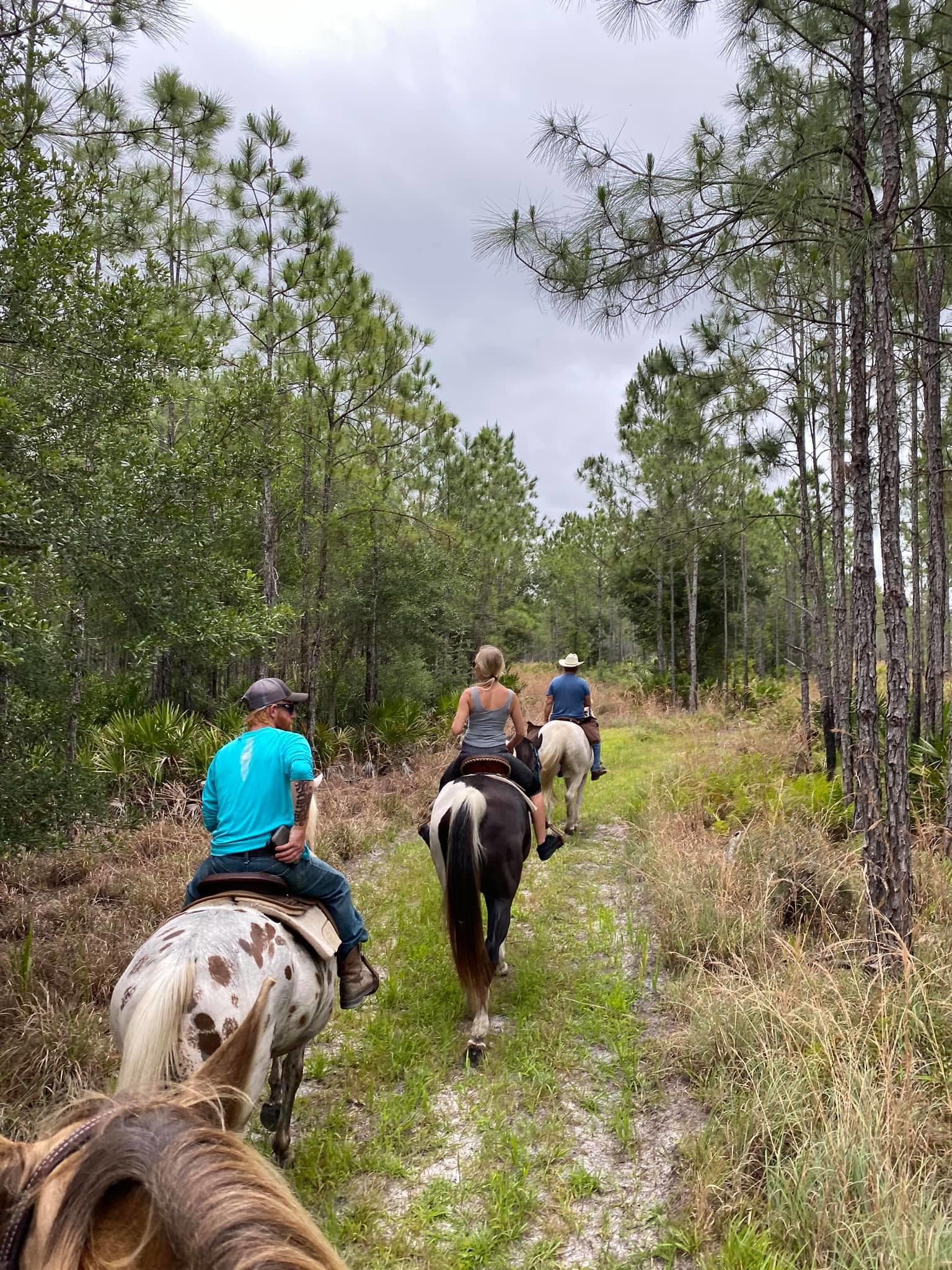 Florida Beach Horses team