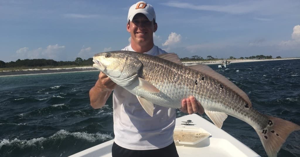 Water Activities with Reelfun Charters on Shell Island