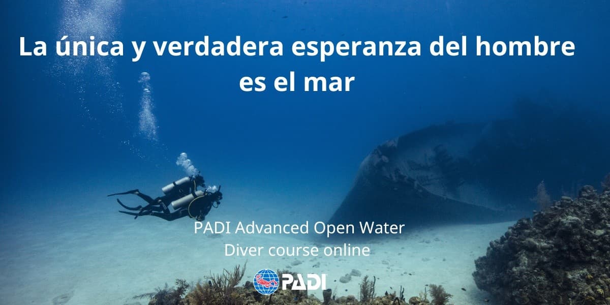 Reactive Scuba Dives in Bahía de Jávea — Two Guided Dives in 4 Hours