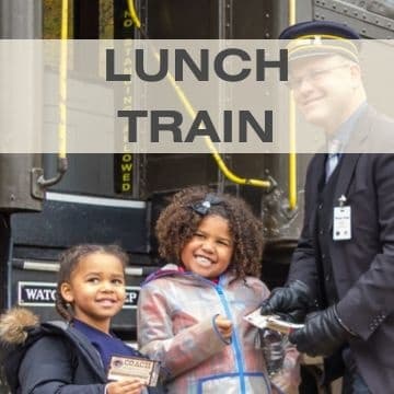 Rail Adventure & Scenic Dining with Dresser Lunch Train