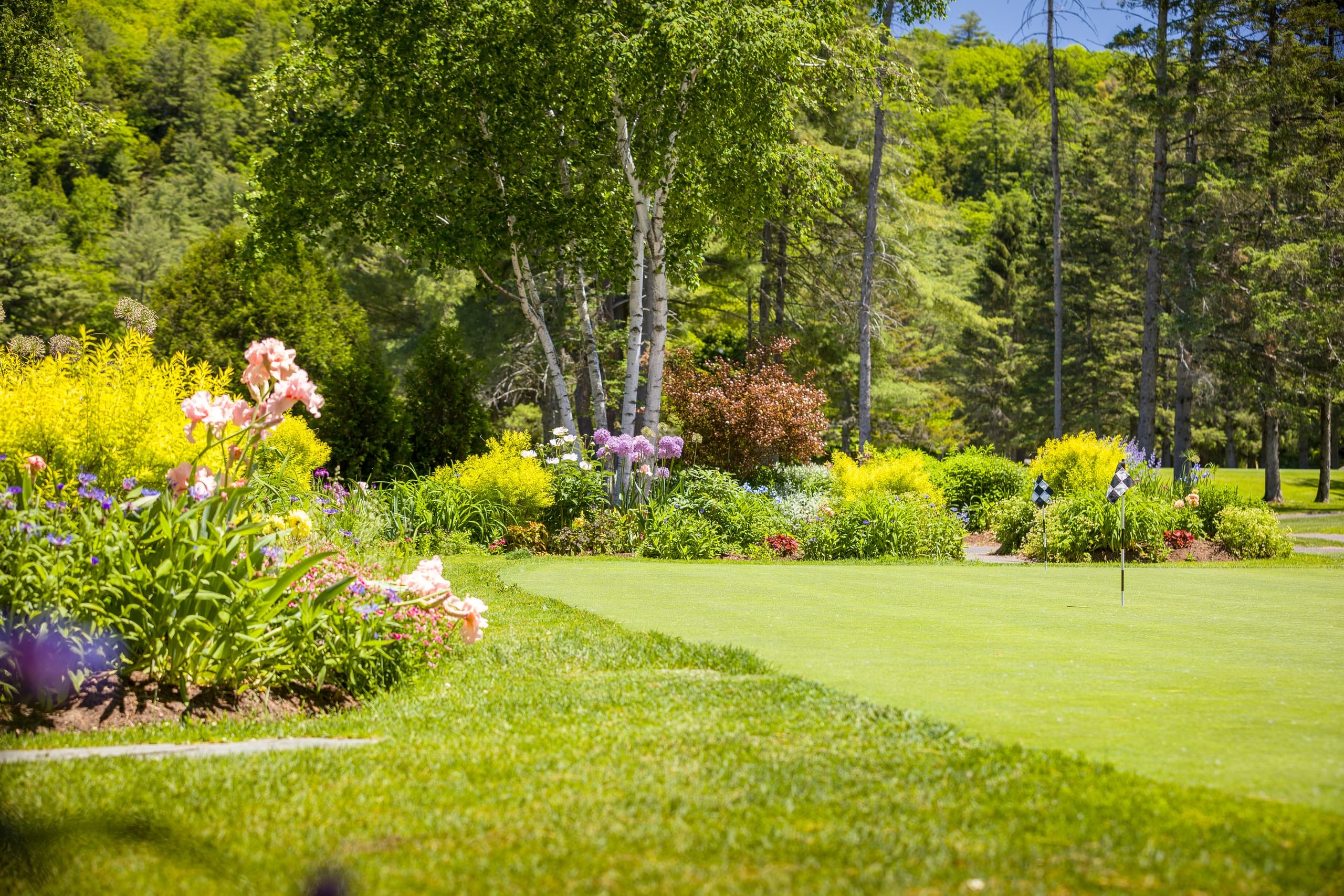 Manicured resort gardens and lawn with walking paths by woods