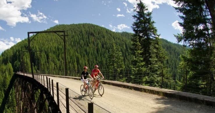 Cyclists crossing forest bridge on scenic mountain trail