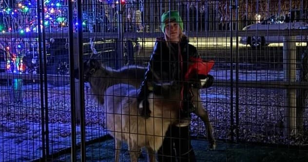 Magical Christmas Experience in Carey, Idaho