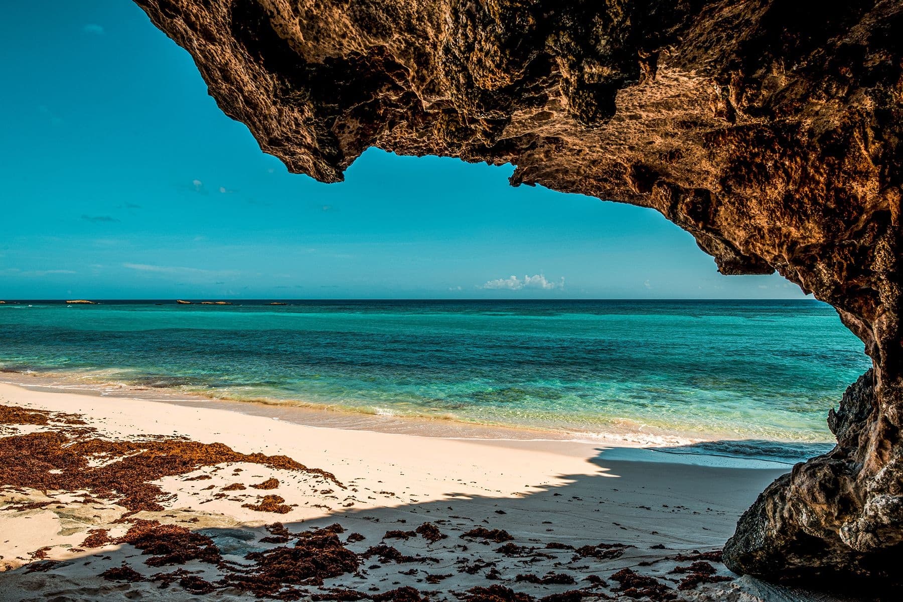 North Caicos Elite Island Experience: Snorkel the Turks & Caicos Barrier Reef and Explore Conch Bar Caves photo 2