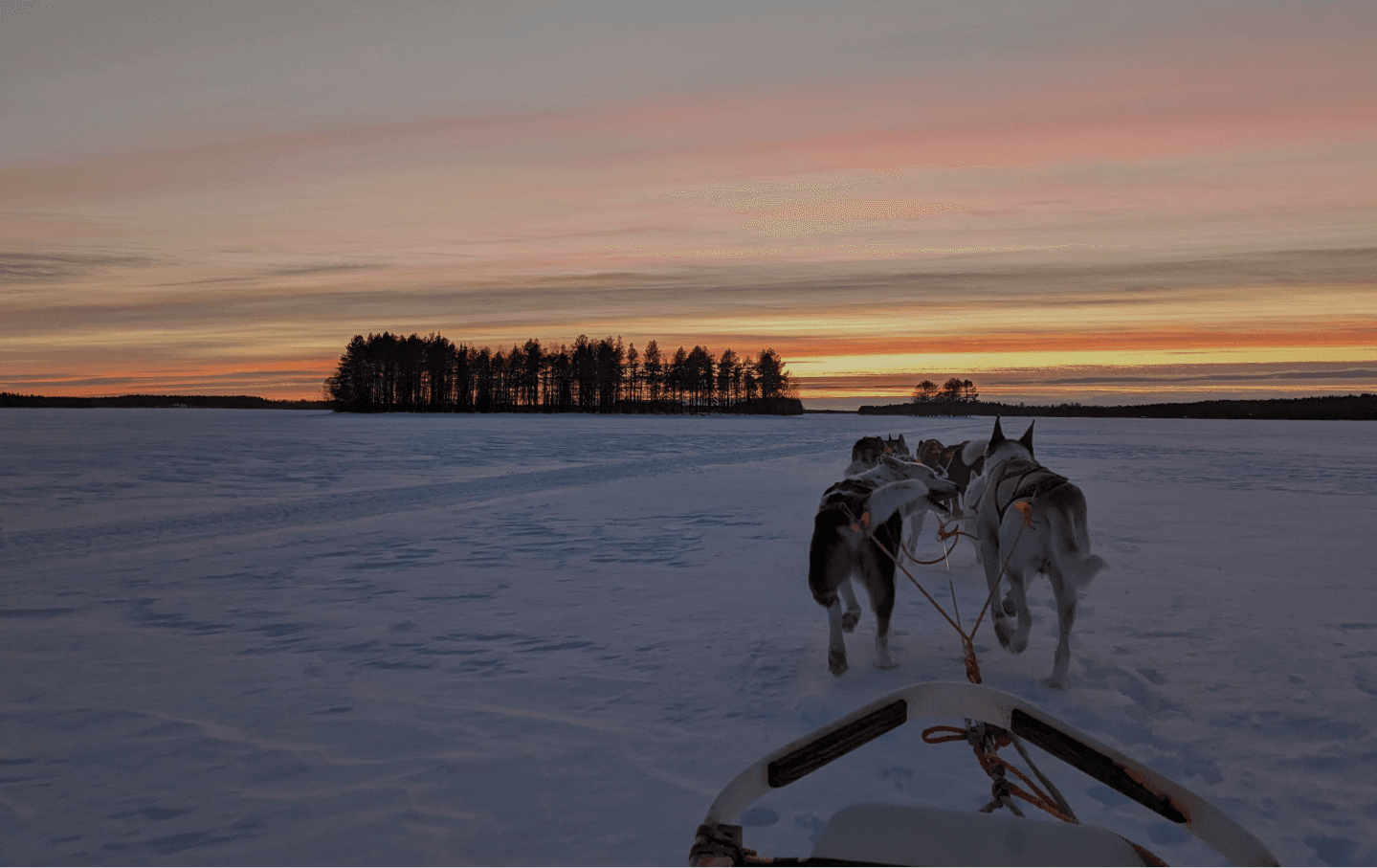 Husky Sledding Adventure with O'Nordic on Kitka Lake