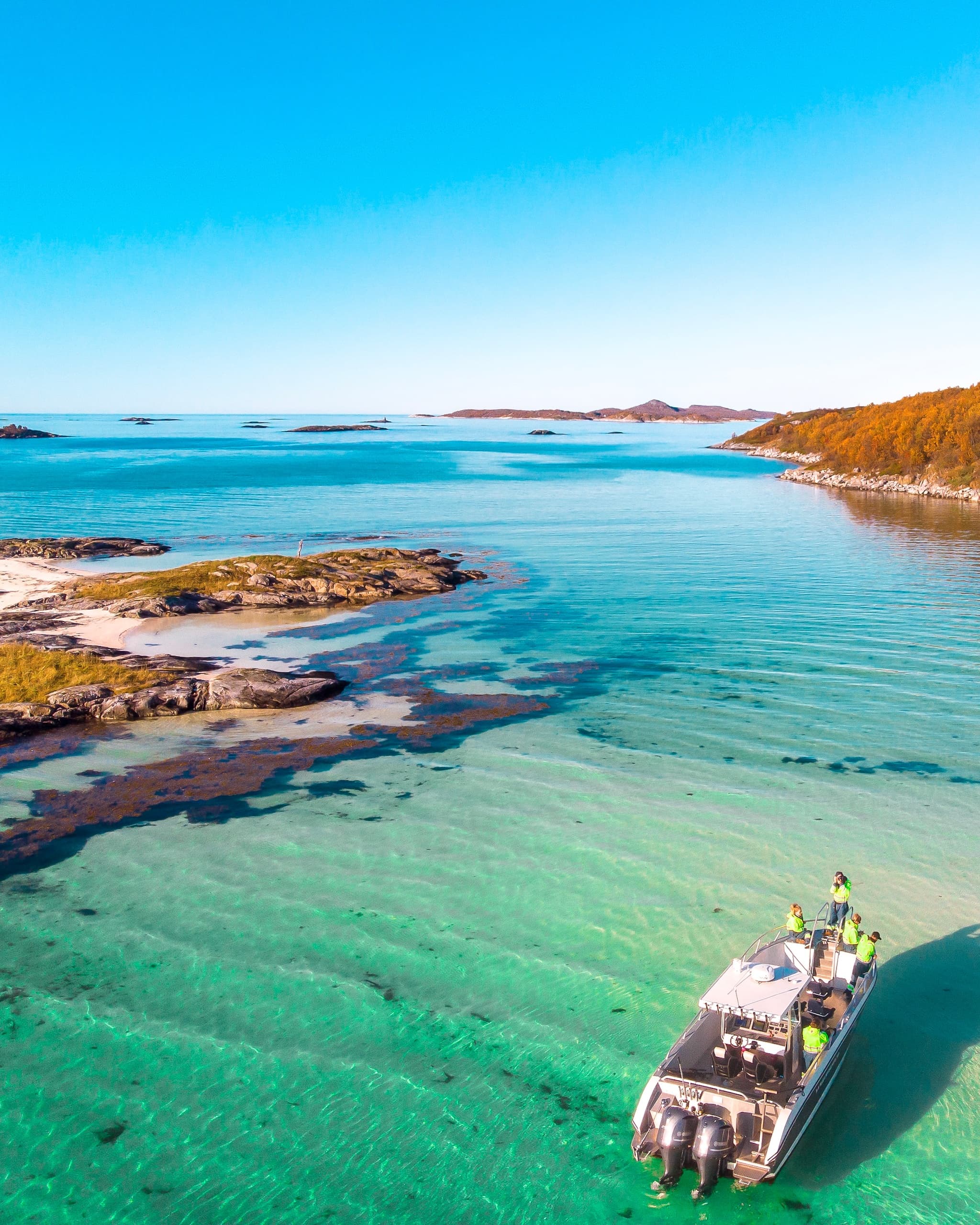 Water-activities in Hamn i Senja: Arctic Midnight Sun Cruise