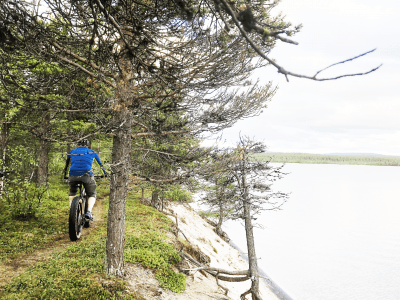 Bike Adventure at Hetta Huskies: Hidden Trails Near Ounasjärvi