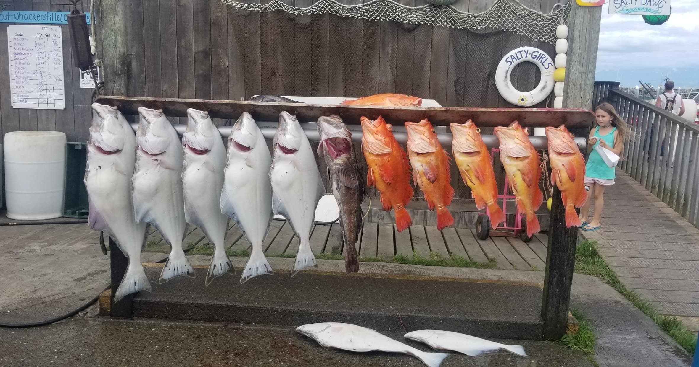 *HOMER* Multispecies (Halibut/rockfish/lingcod/pacific cod/yelloweye) 2- 4 species Game Changer
