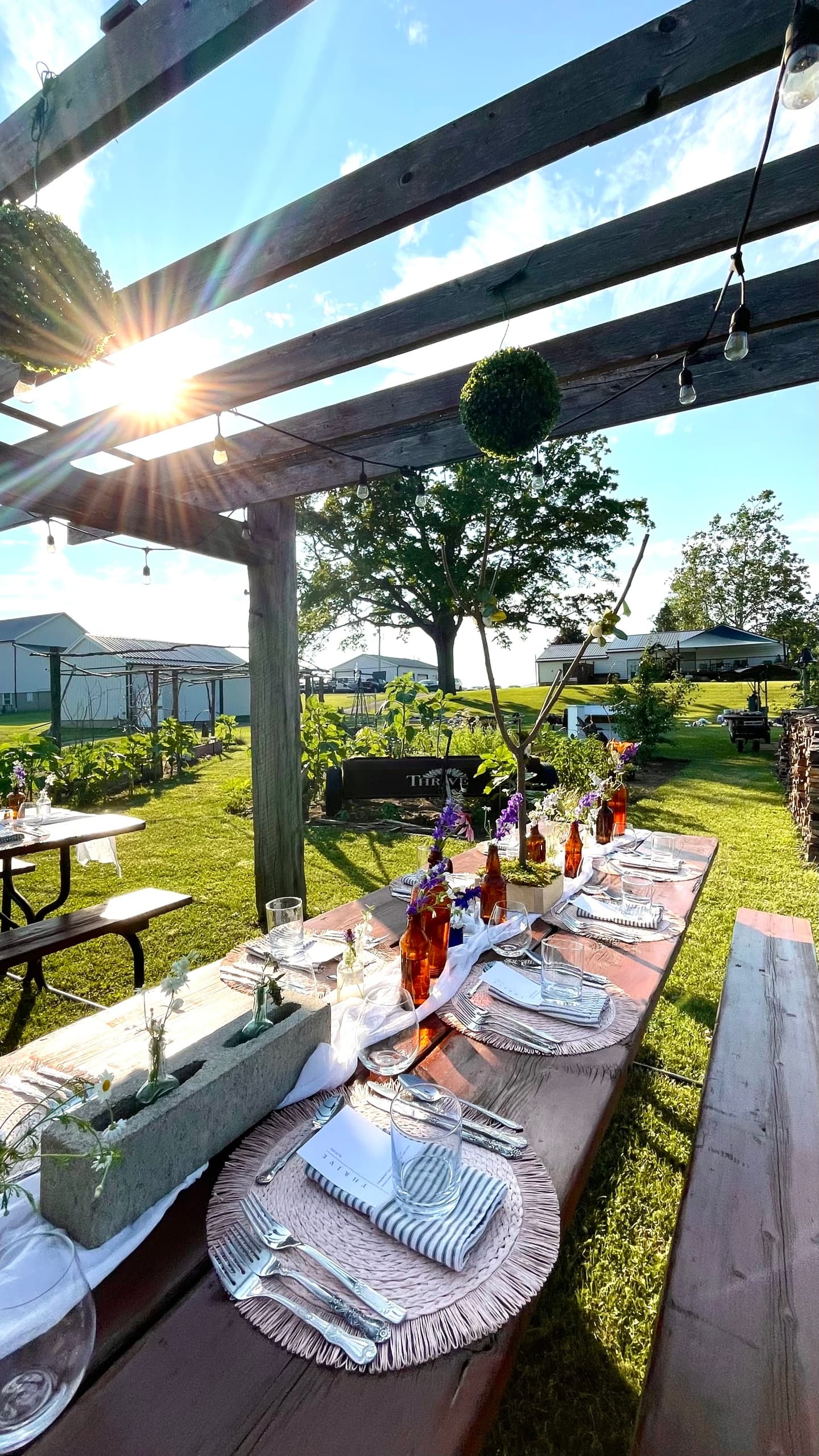 Outdoor Dining Experience at Thrive Norfolk