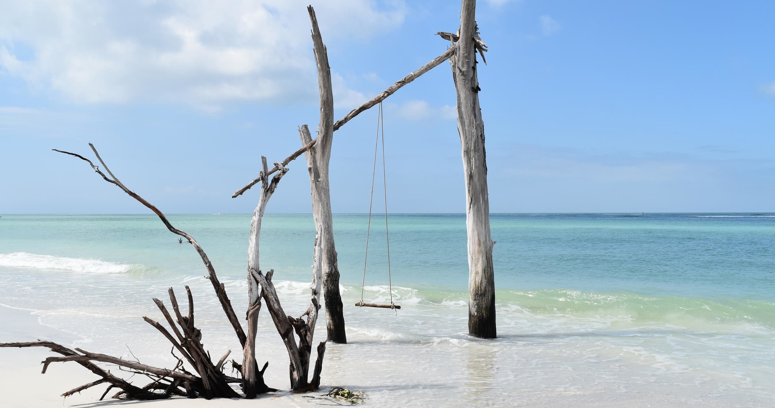 Driftwood swing and bleached logs on white sandy tropical beach