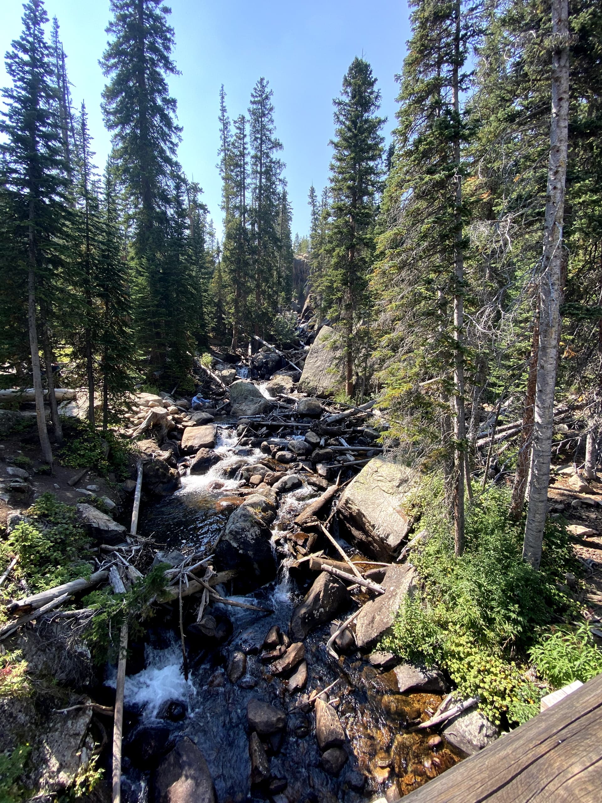 Rocky Mountain & Estes Park Private Day Tour Experience