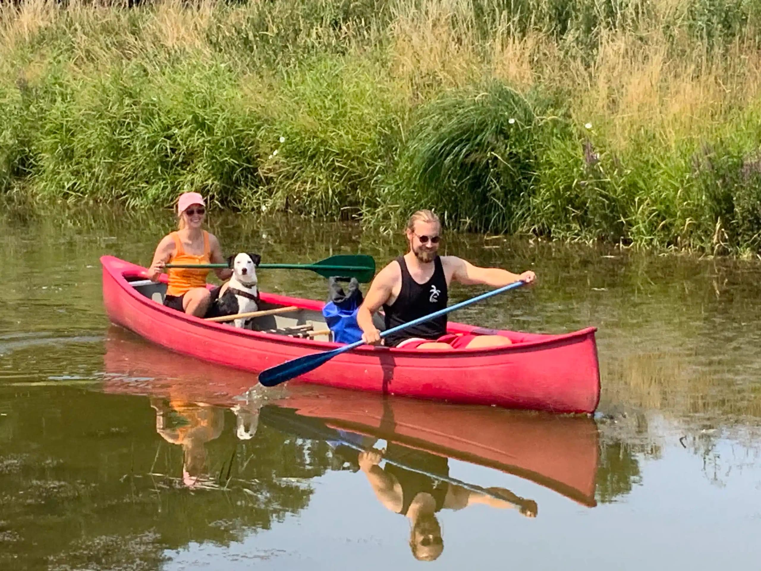 Canoeing with Bright Side Tours on the Dümmersee, Germany