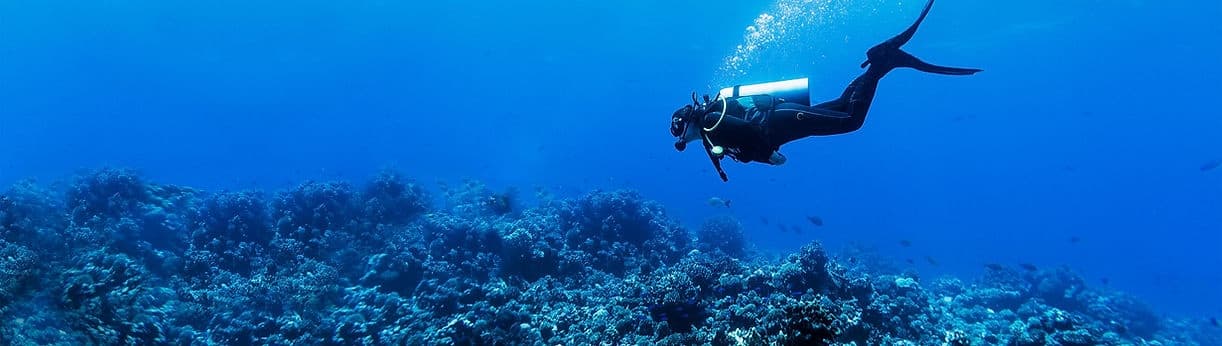3-Tank Dive Adventure with Black Flag Charters in Florida
