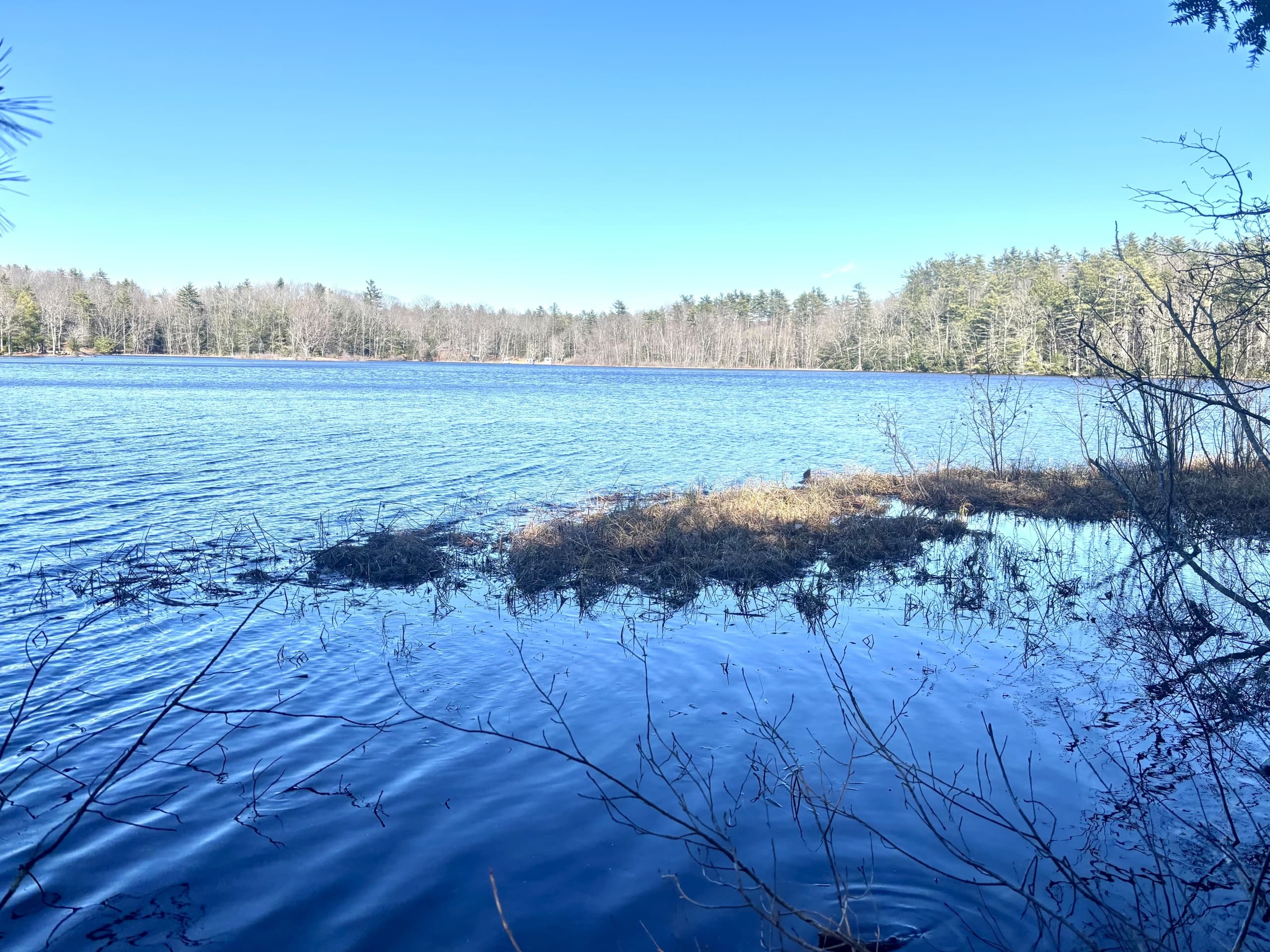Hiking Alewive Woods with Coastal Maine Hike and Bike