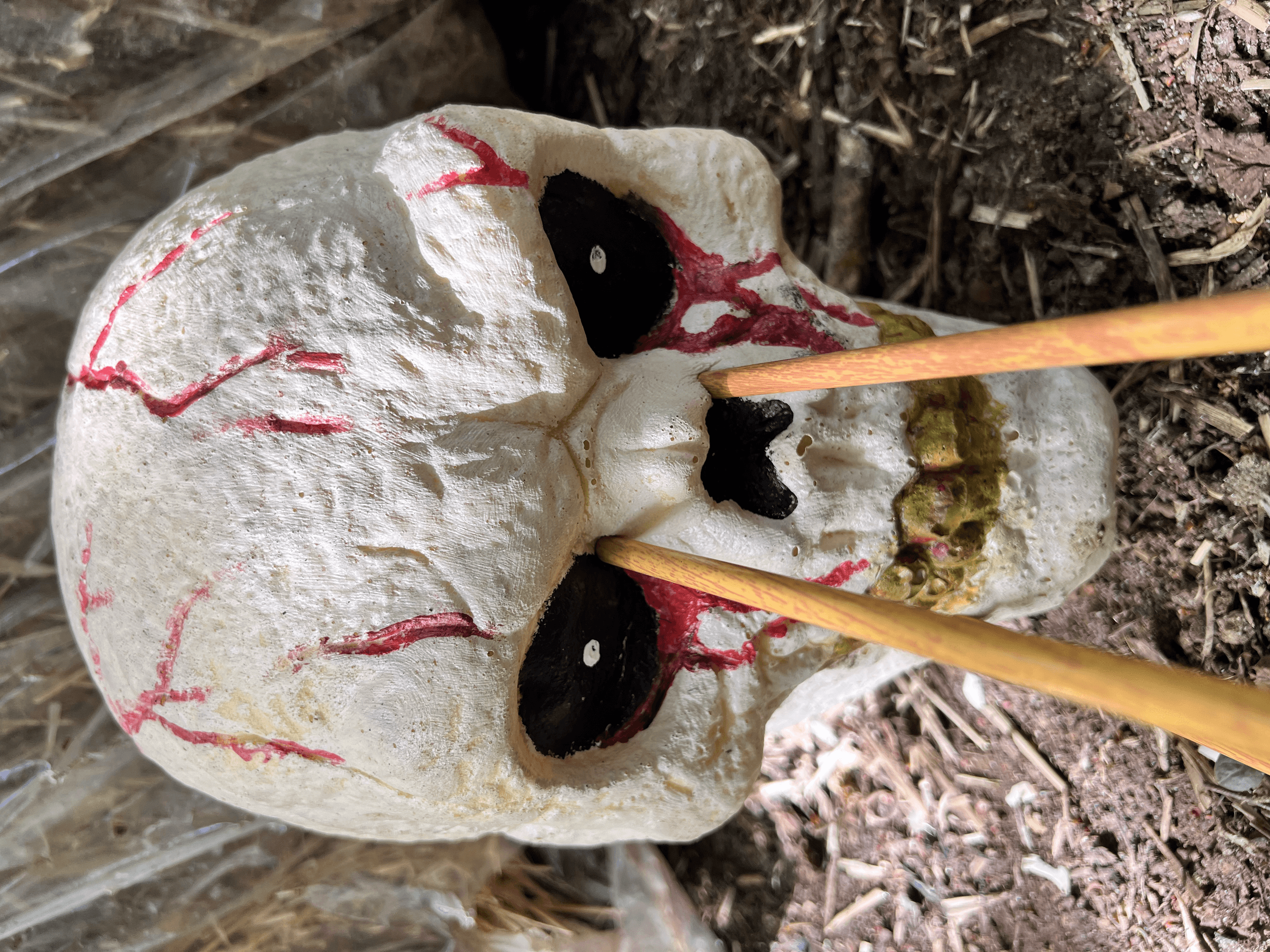 Zombie 3D Archery at Insight Activities in Dorset