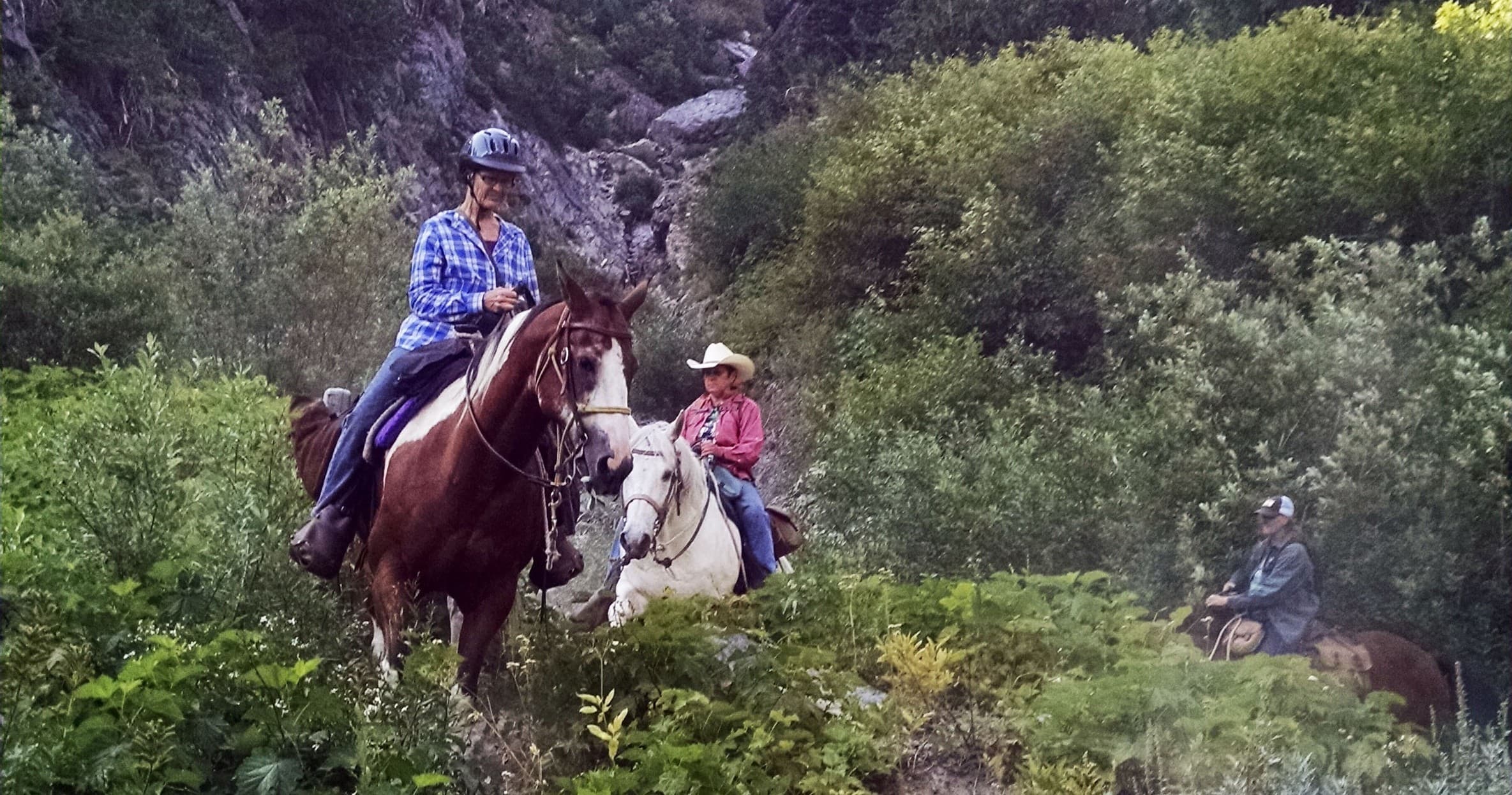 Full Day Trail Ride in Roslyn, Washington