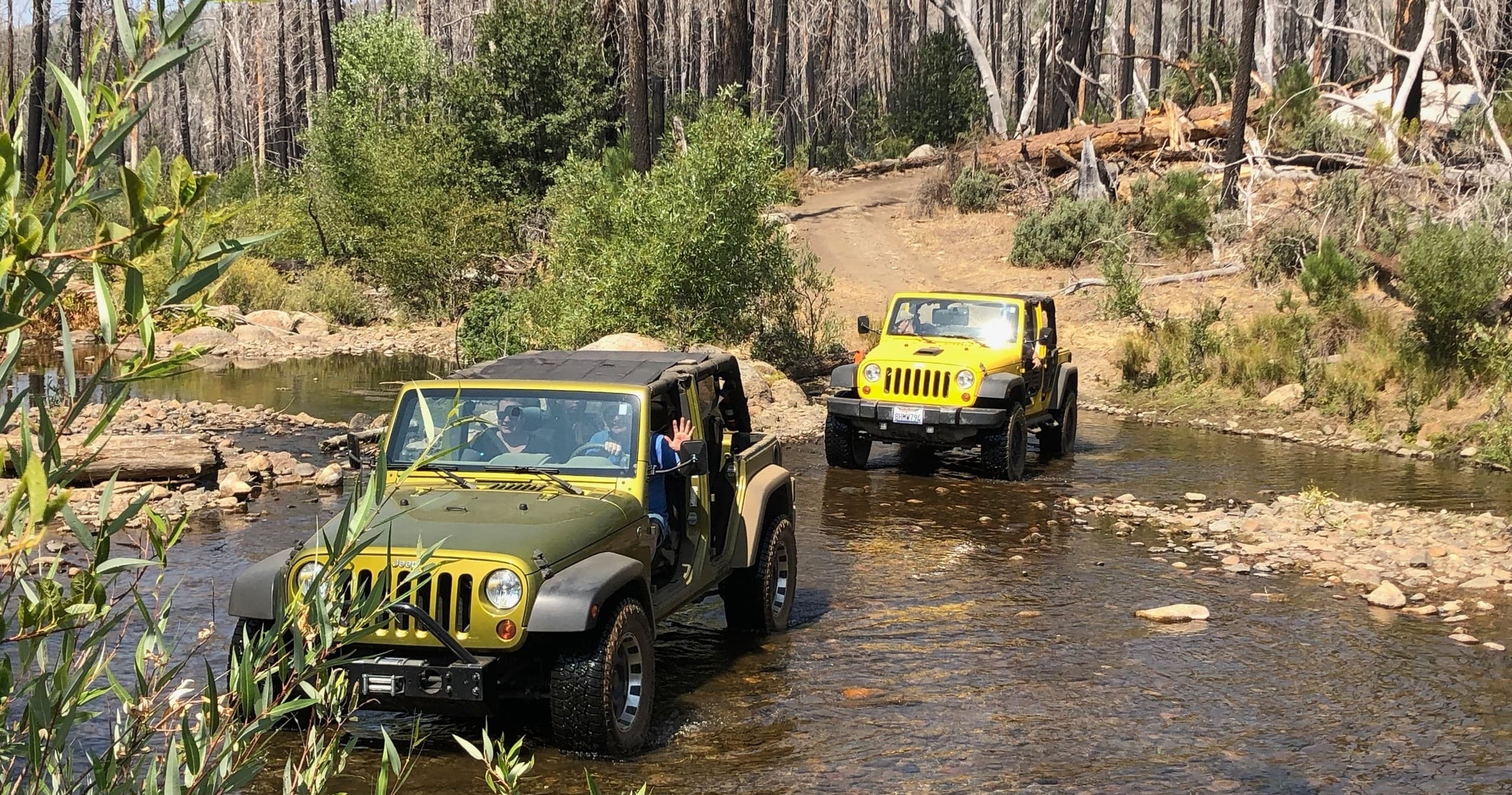 Explore Groveland with a Guided Jeep Tour Adventure