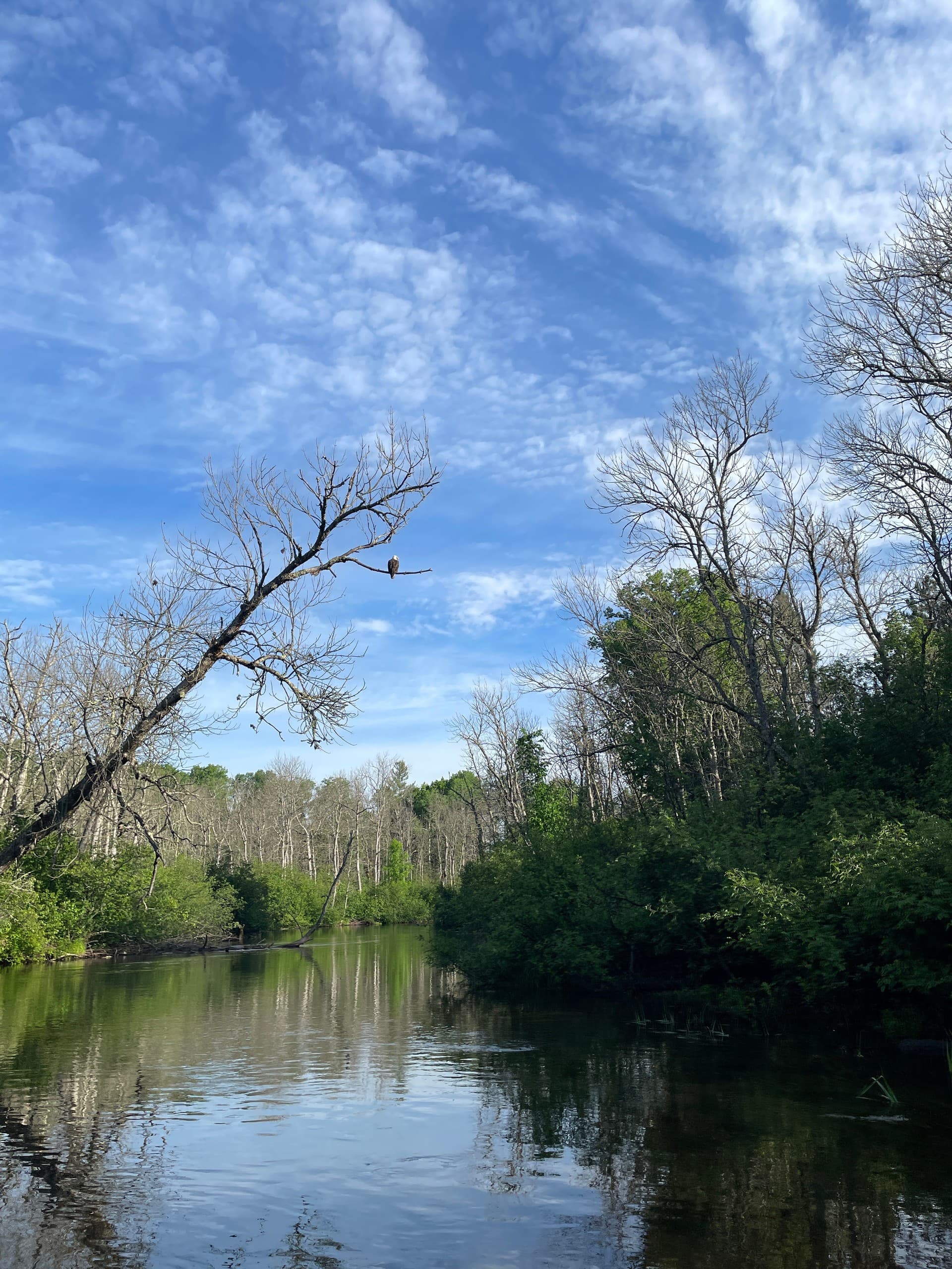 Paddling Brule River: A4 Stones to CR Campground — 2-Day Canoe & Kayak Trip photo 2