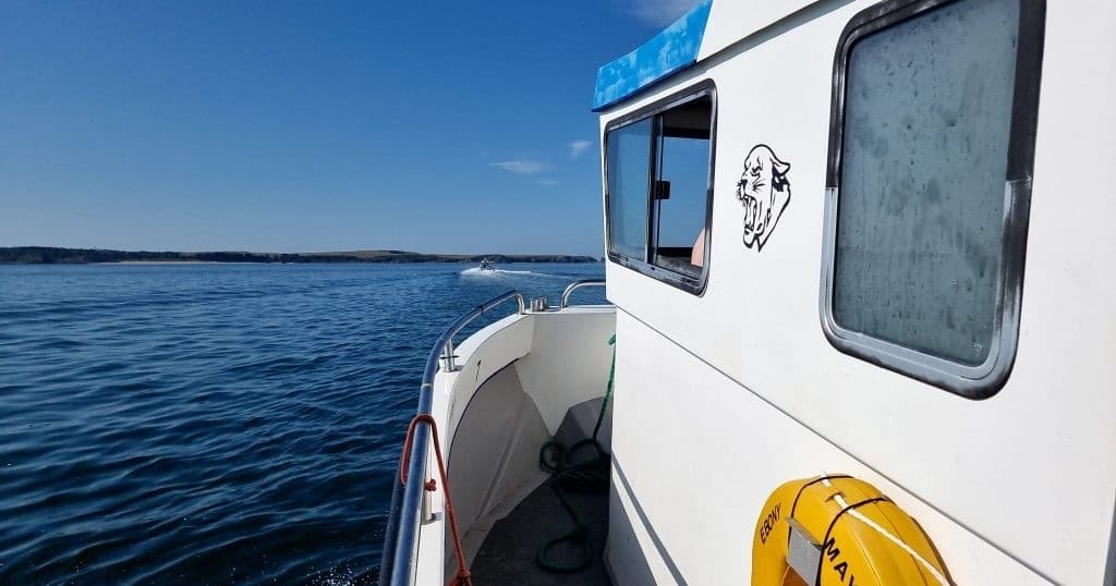 Saundersfoot Mackerel Fishing Trip — 2-Hour Family Sea Adventure