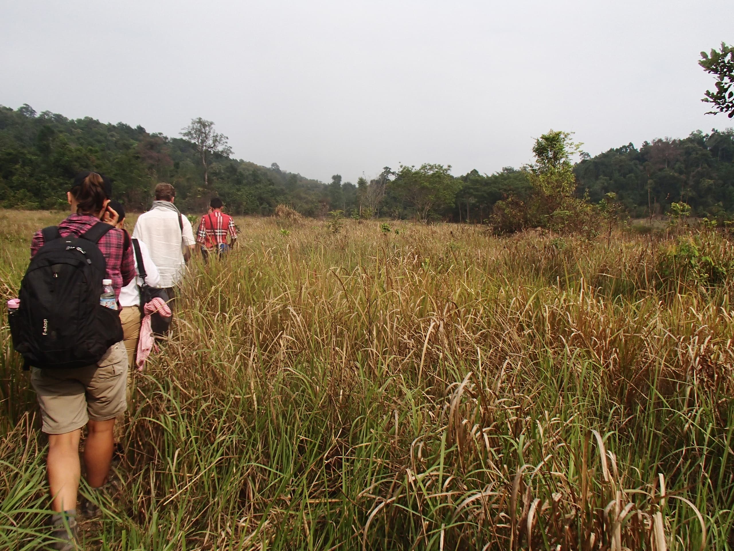Wildlife Release Adventure with Wildlife Alliance in Koh Kong